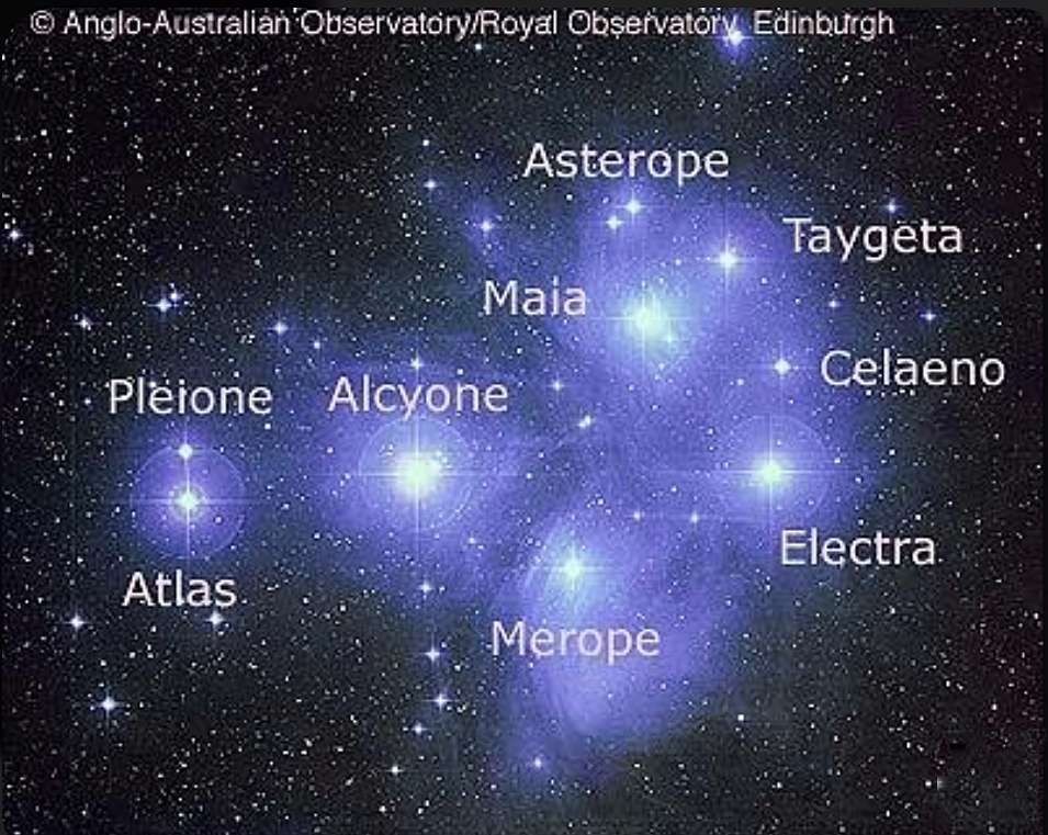 An image of the Pleiades star cluster, featuring labeled stars including Pleione, Alcyone, Maia, Merope, Taygeta, Electra, Celaeno, Asterope, and Atlas against a starry background.